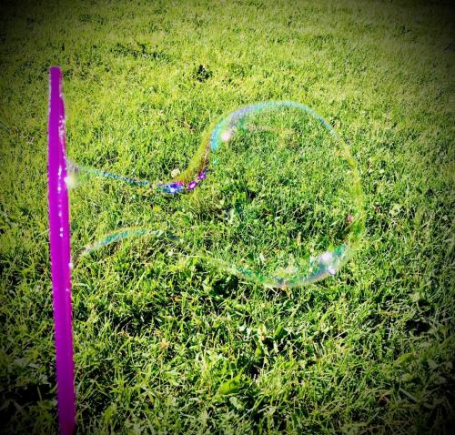 Quarantine Bubble