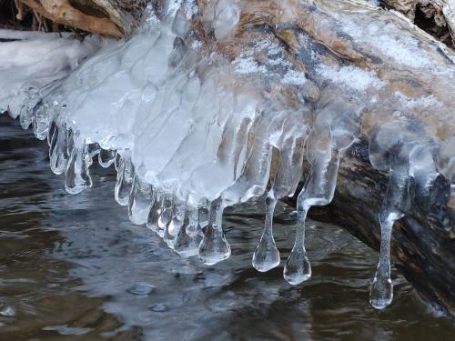 IcyBulbs