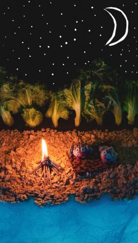 Winner: <br>+ Most Creative <br>+ Best Executed <br>Bonfire On The Beach 