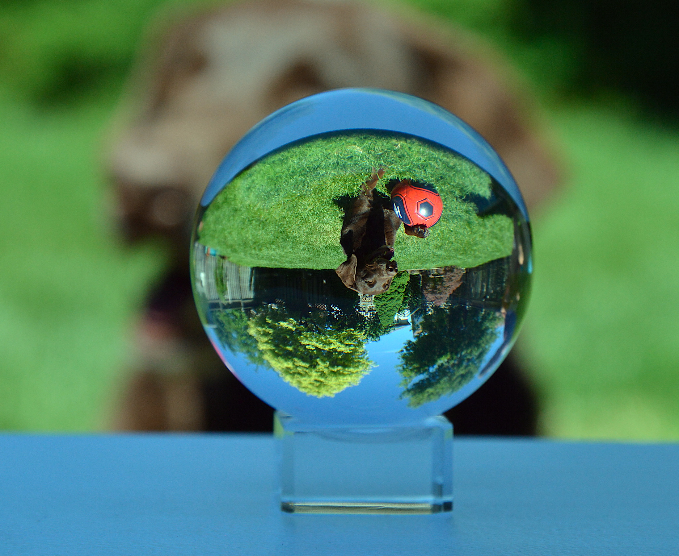 Week 3: Refraction