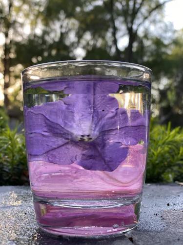 Flower Glass