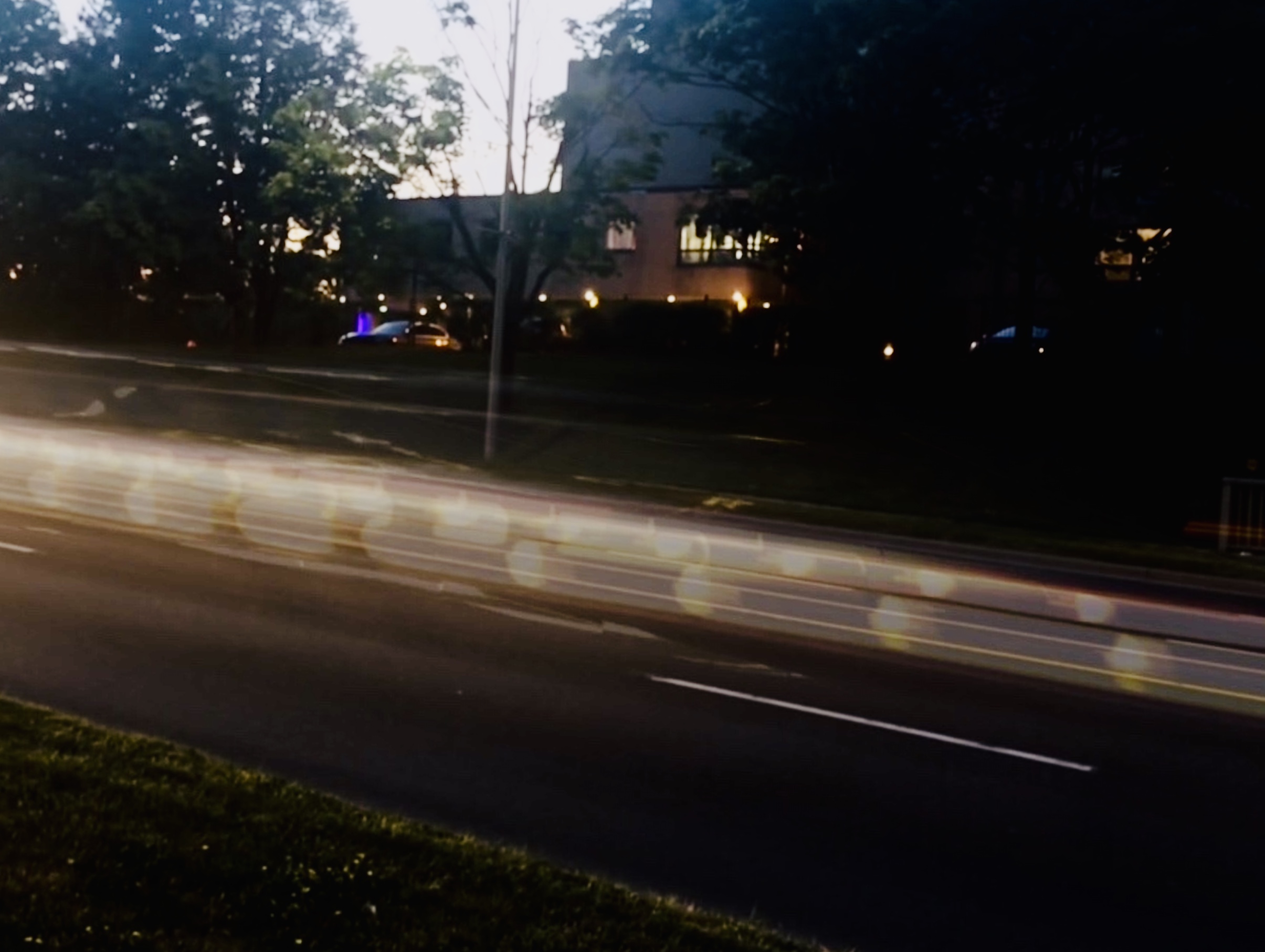Nightlife In The Burbs