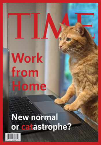 Second Place:<br><br>The Time is Meow