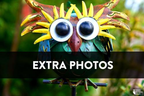 ExtraOWL