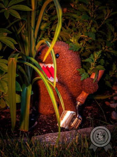 2nd Place: <br>+ Most Creative Badge <br>Domo at Dusk
