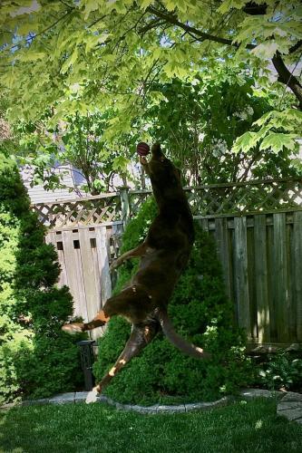Jump