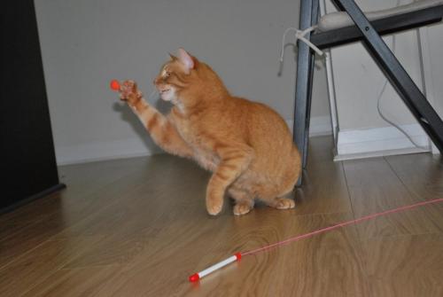 Playtime